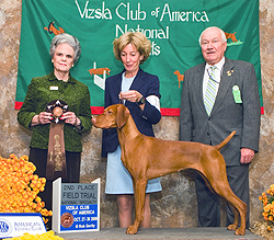 Trip takes 2nd place in the Field Trial Bitch Class at the 2009 Vizsla Club of America Nationals