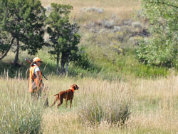 Suede honors in her Master Hunter test