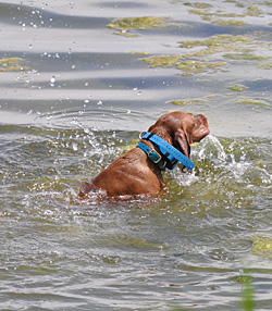 Trip swims!!