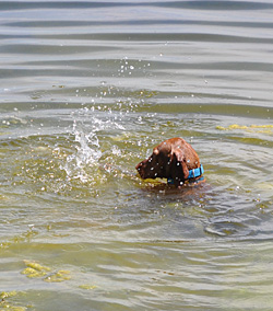 Trip swims!!