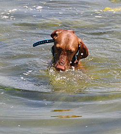 Trip still swimming