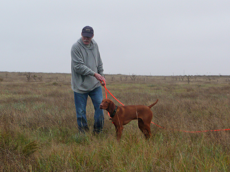 Jim helping Vizsla pup Peak hold point