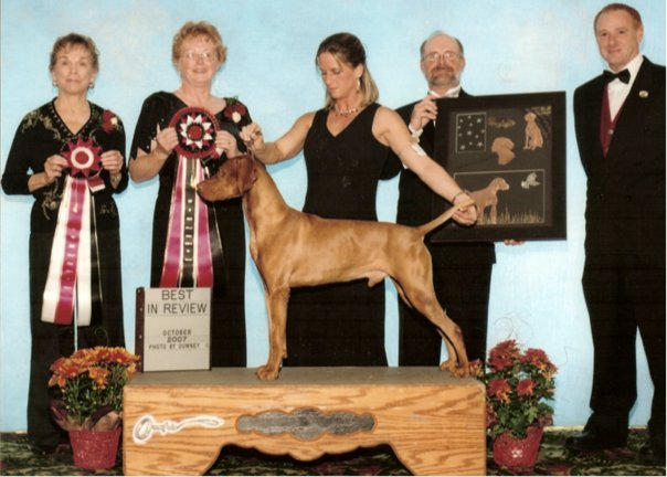 Flynn wins the Vizsla Club of America's 2007 All Star Review