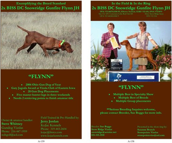 Flynn's catalog ad for Vizsla Club of America
