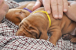 Gold and Purple Boys share cuddle time