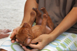 Green Boy getting a massage from Mel