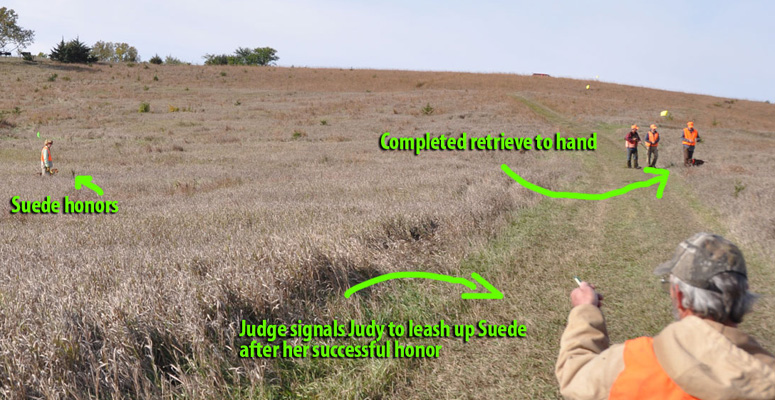 Suede honoring in a Master Hunter level test