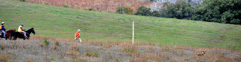 Vizsla Trip shows her big run in a Senior Hunter level test