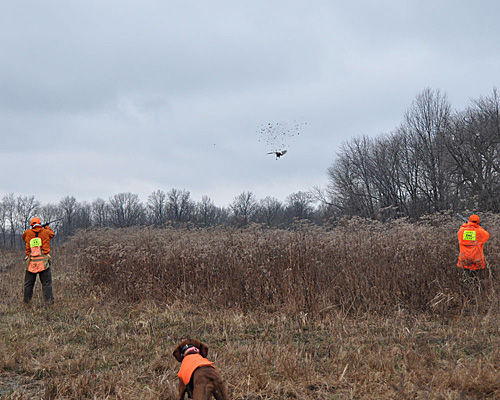 Aaron and Jan take the shot--Vizsla Suede stands steady. Such a good girl!!