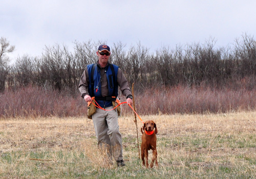 A GREAT RUN!  Aaron and his Vizsla boy Kosmo leave the Amateur Gun Dog course after making it around clean--and with a whole lot of style!