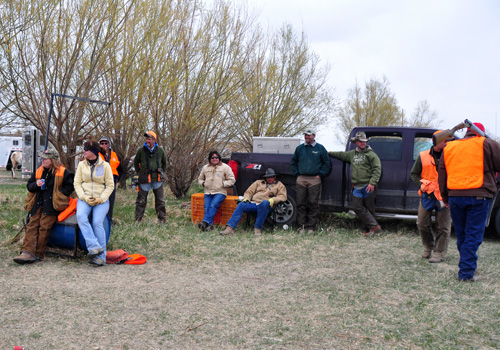The "Callback Crew" waits for the Open Limited Gun Dog and Amateur Gun Dog retrieving callbacks - The Rocky Mountain Vizsla Club's Inaugural Walking Field Trial