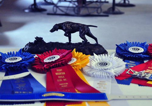 Rosettes, prizes, and a traveling trophy - The Rocky Mountain Vizsla Club's Inaugural Walking Field Trial
