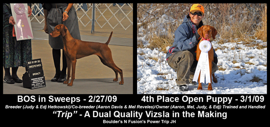 Trip BOS Sweeps and 4th place Open Puppy