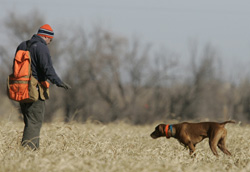 Aaron and Remus in the field