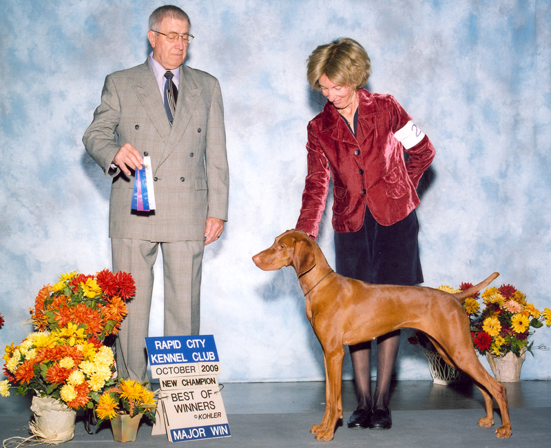 Vizsla Amante with breeder Judy Hetkowski - NEW CHAMPION!