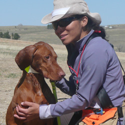 Vizsla Amante and Mel getting ready to run in Junior Hunter