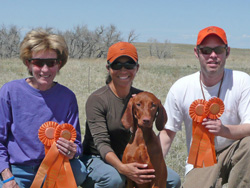 Vizsla Amante the NEW Junior Hunter!