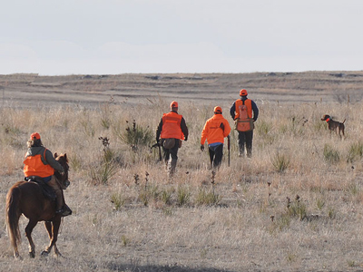 Amante on point in her Senior Hunter brace--the gunners move in to try and shoot the bird for her retrieve.