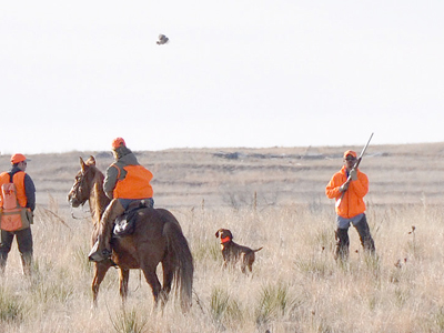 LOVE THIS SHOT!!  Amante just *turns her head* to mark the bird--the gunner waits to take a safe shot.
