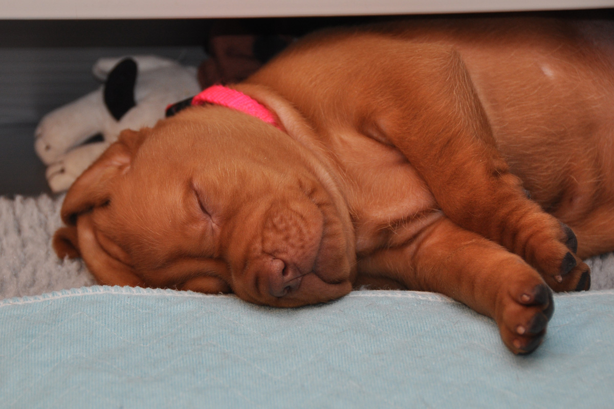 Hope catching some ZZZs 