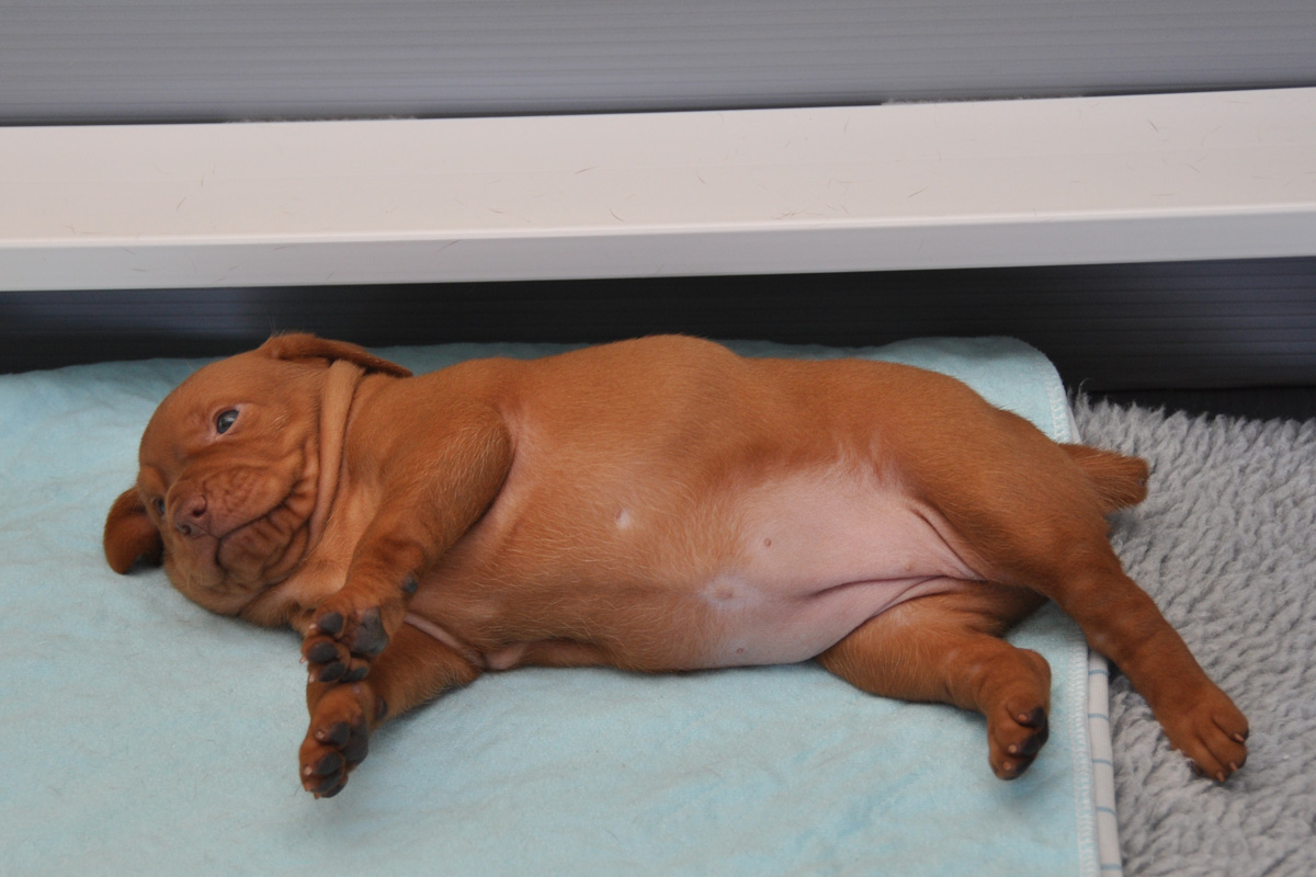 Hope-I've fallen and I can't get up!