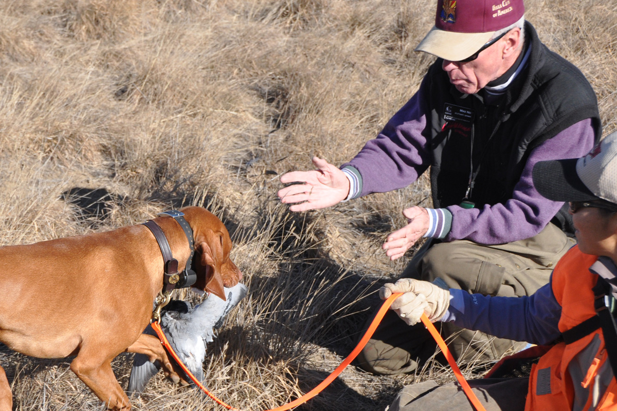 Mike celebrates his Vizsla Pup Monty's retrieve