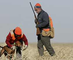 Lola demonstratin gher soft mouth and untrained retrieve to hand