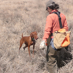 Mel working Amante in the field