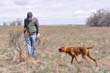 Vizsla Peak wiats for Dad Jim to flush the bird