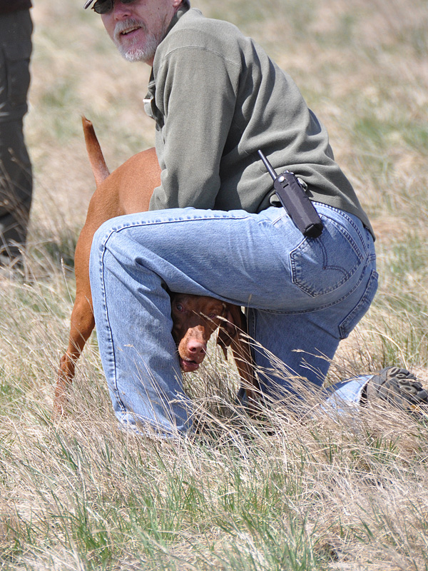 Vizsla Peak 'peeking'