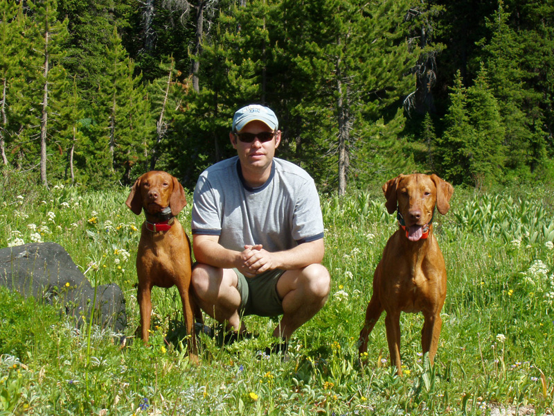 Aaron hikes Rabbit Ears Pass in Colorado  with Vizslas Remus and Kosmo