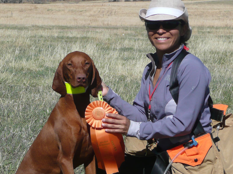 Vizsla Amante and Mel celebrate Junior Hunter passes