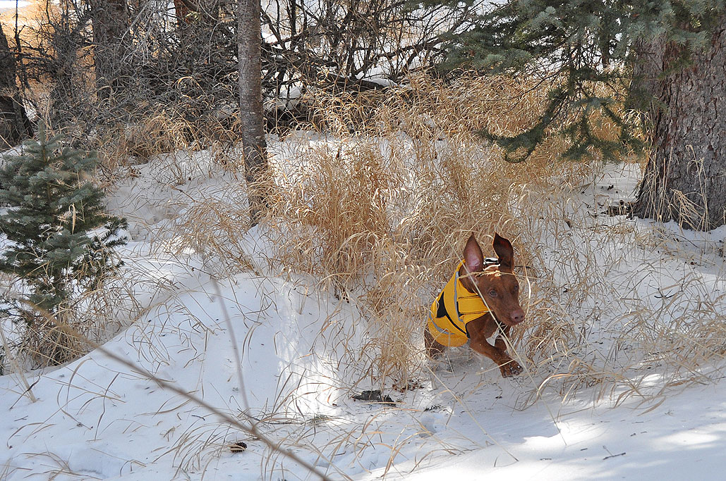 3...2...1...TAKEOFF!