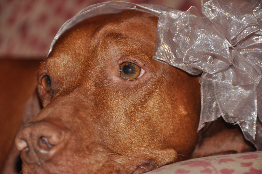 Dad says I look like a girl!