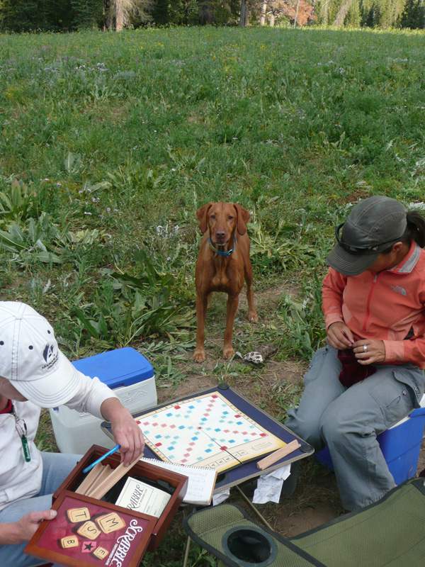 Campsite Scrabble - Mel kicked butt! - Steamboat Springs, Colorado