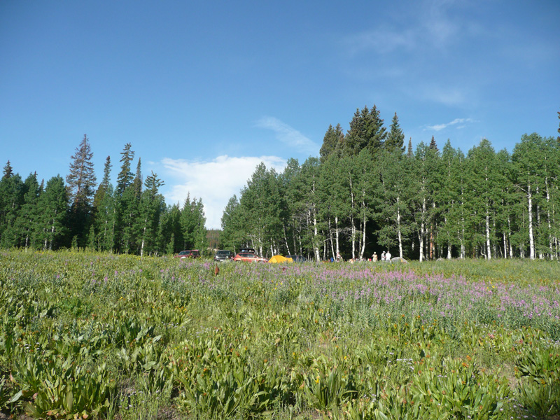 Our awesome campsite - Steamboat Springs, Colorado