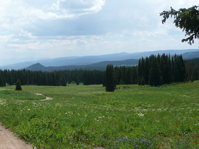Heading back from Rabbit Ears hike - Steamboat Springs, Colorado