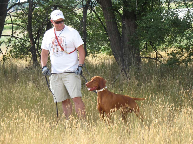 17 month old Vizsla Jazz is READY to go