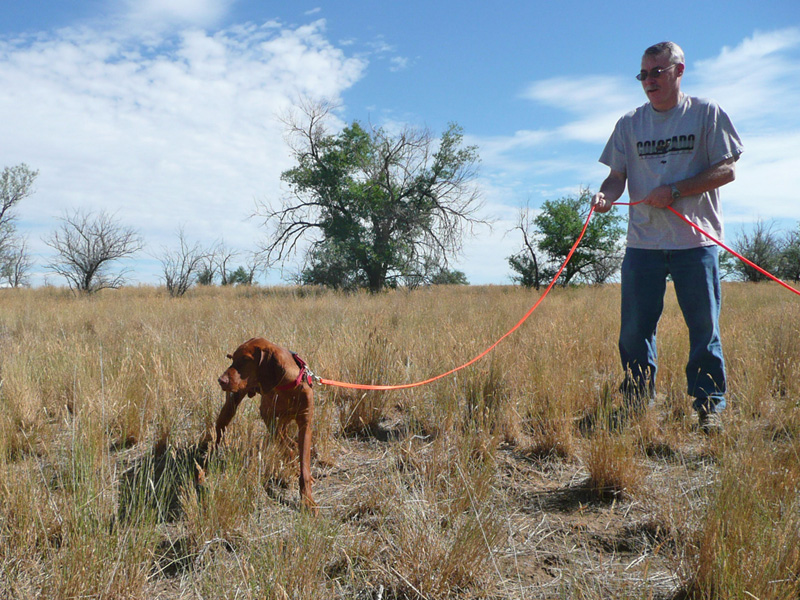 Proud Papa Jim handles 6 month old Vizsla pup Peak