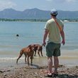 Aaron plays "water retrieve" with the Vizslas