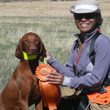 Vizsla Amante and Mel celebrate Junior Hunter passes