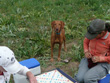 Campsite Scrabble - Mel kicked butt! - Steamboat Springs, Colorado
