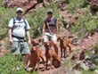 Aaron and Mel with the Vizslas - Steamboat Springs, Colorado