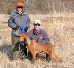 Remus wins Open Gun Dog stake worth a major