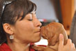 Vizsla pup Change stealing Mel's heart