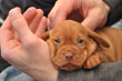 Hope-Simply Adorable