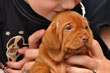 Kisses for Vizsla puppy Hope