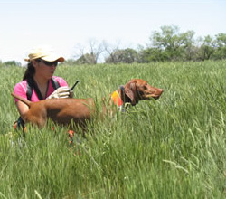 Suede and Mel working on steadying