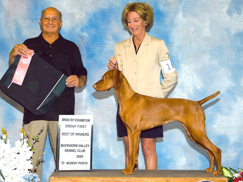 Trip handled by breeder Judy Hetkowski of Boulder Vizslas