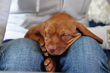 Hard earned rest!